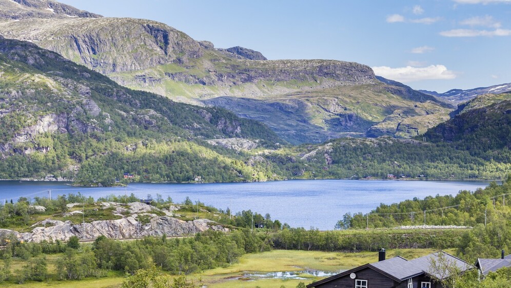 Flåmsbana željeznička linija u Norveškoj - 7