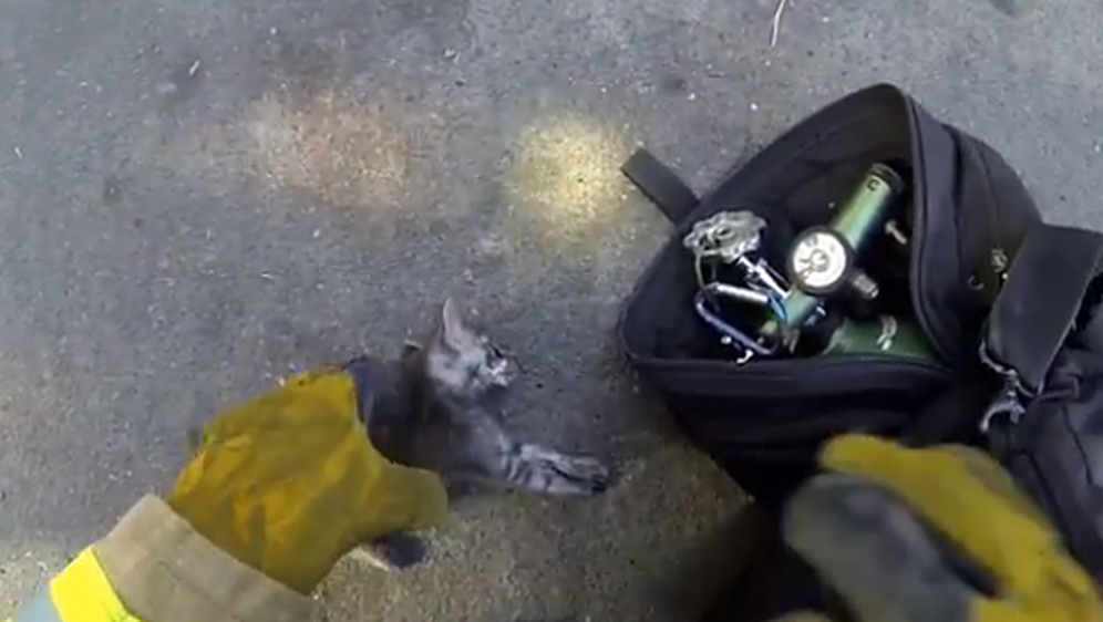 Reklama za GoPro koja će vam rastopiti srce