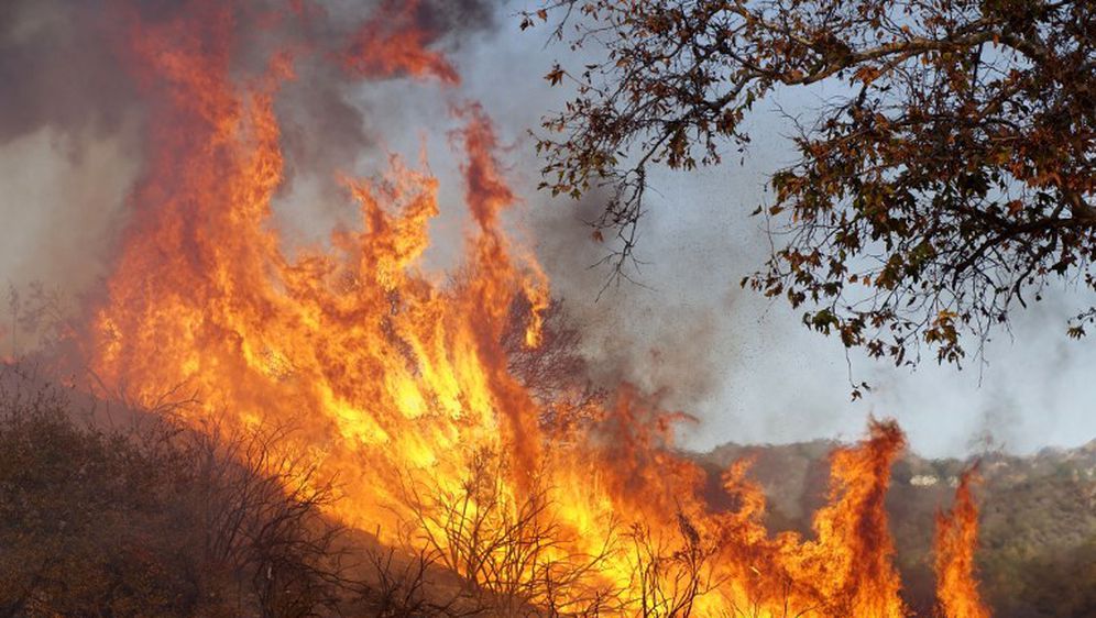 Požari u Kaliforniji (Foto: AFP) - 1