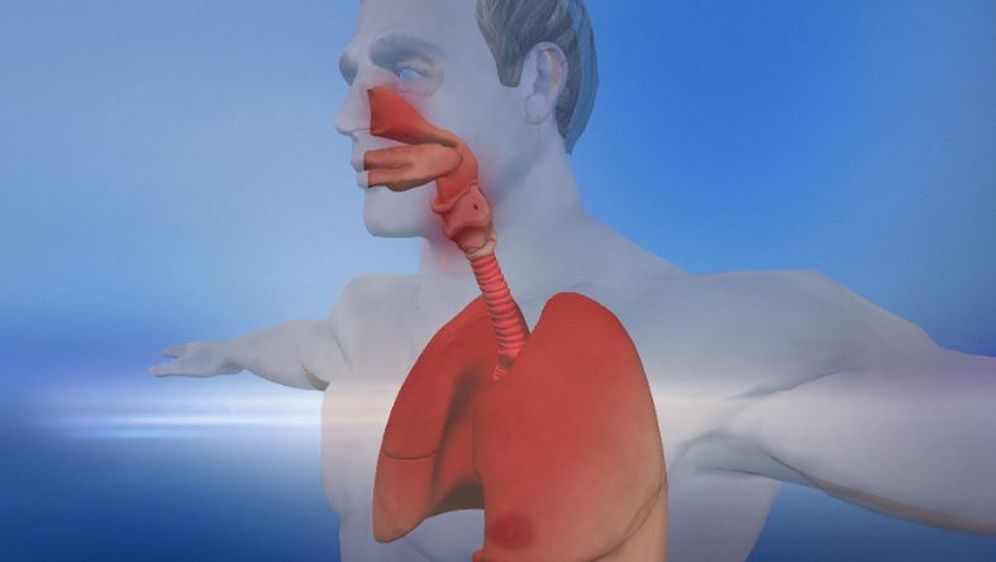 Utjecaj gripe na ljudsko tijelo (Foto: Dnevnik.hr)