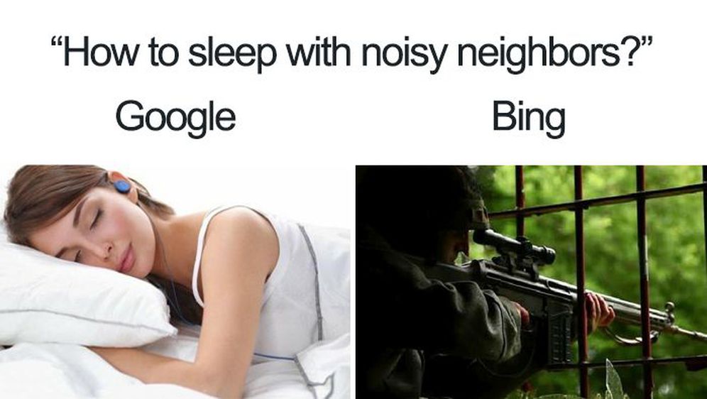 Bing i Google (Foto: boredpanda.com)