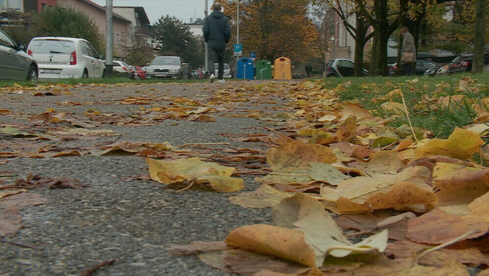 Pao sekusalni predator - 1