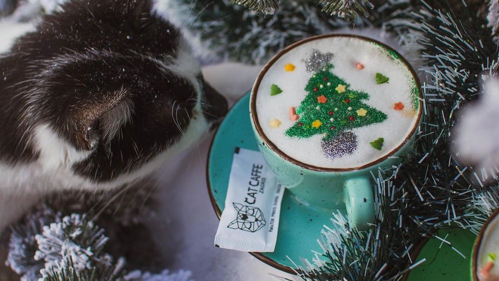 Cat Caffe pravi najslađe kave s božićnim motivima