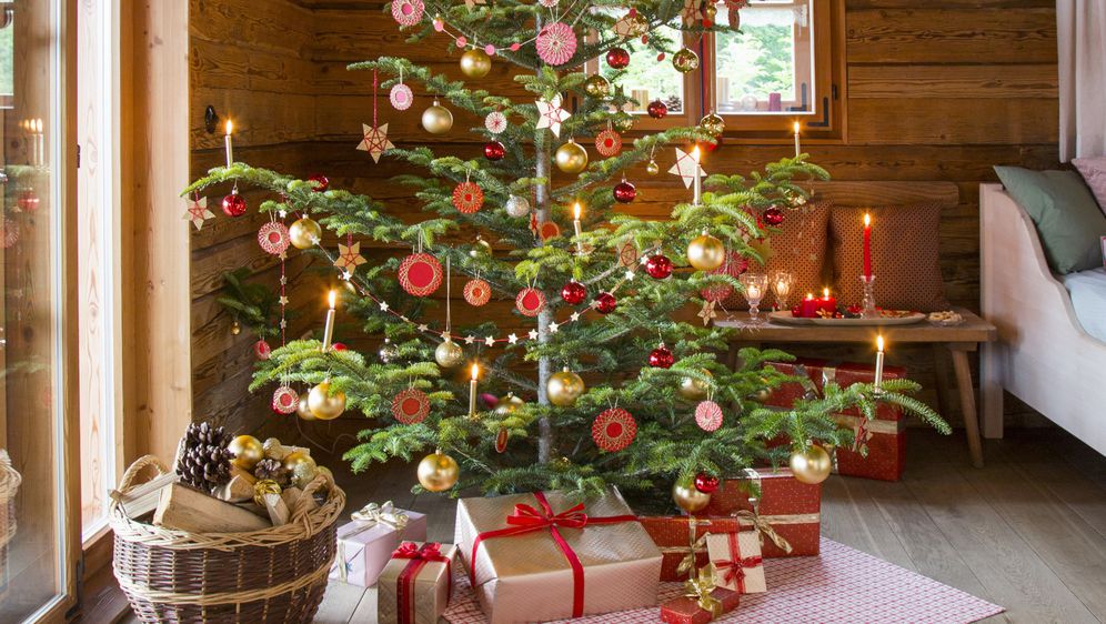 Božićna drvca s rijetkim granama