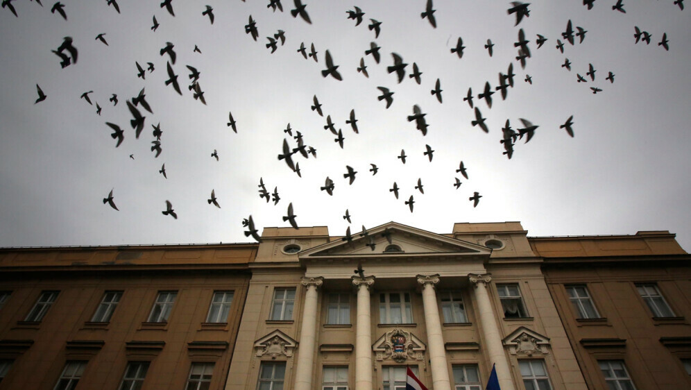 Ptice u letu