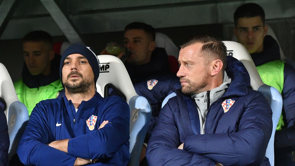 Niko Kranjčar i Ivica Olić