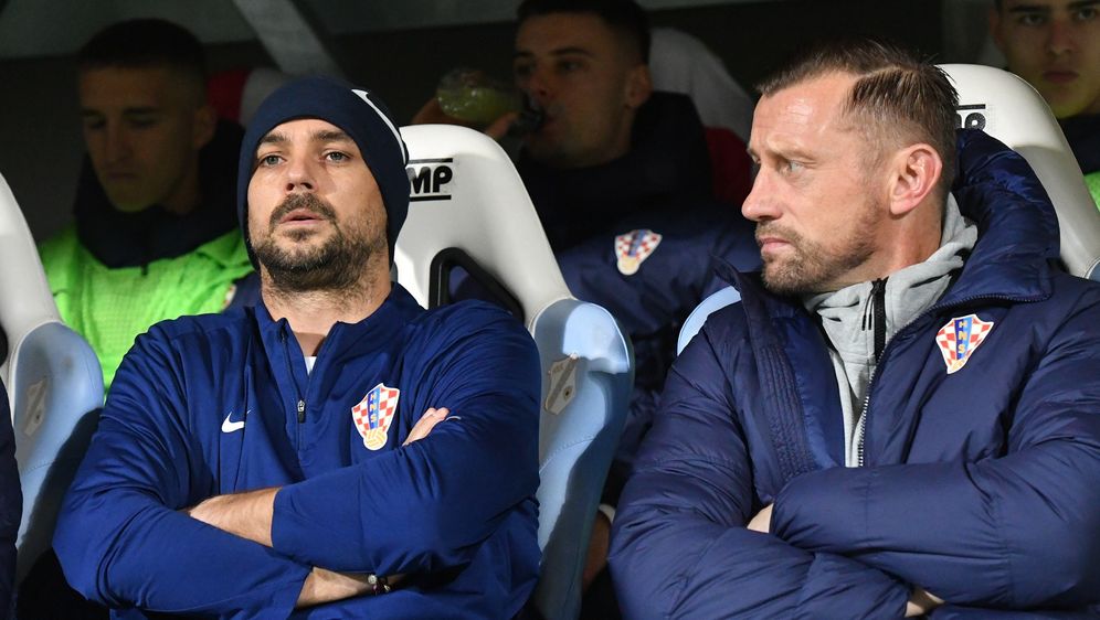 Niko Kranjčar i Ivica Olić