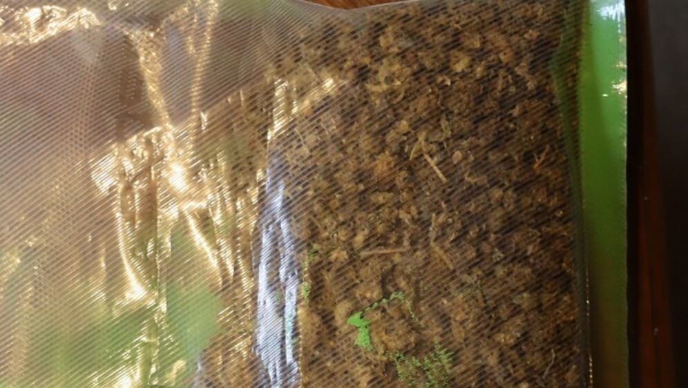 Zapljena u Varaždinu - 3