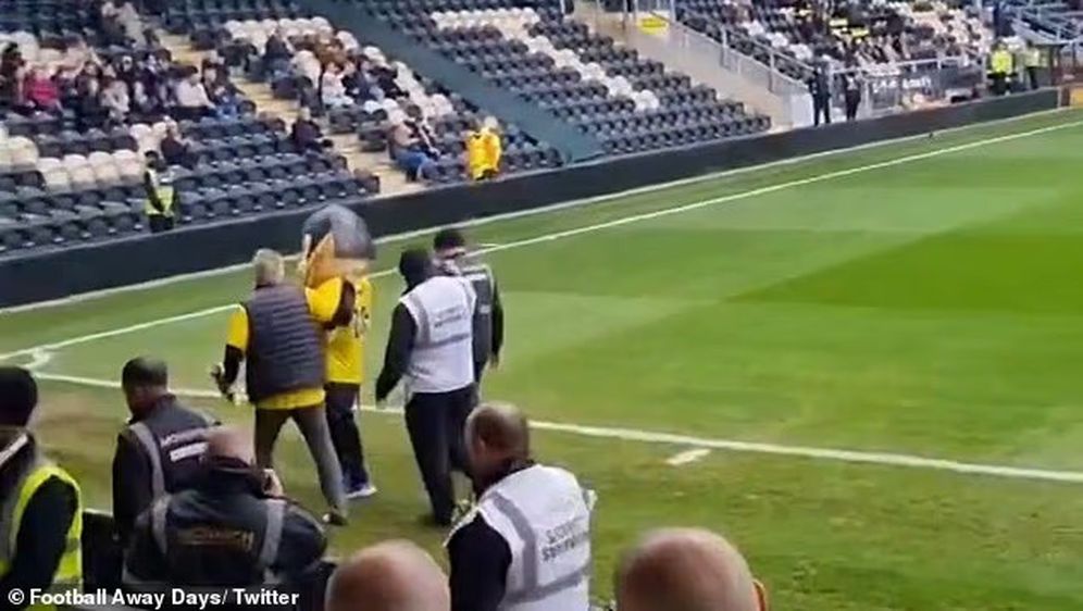 Maskota St Albans Cityja