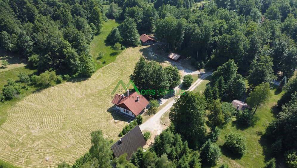 Mjesto za novi početak: Na visoravni podno Petehovca, gdje dan počinje tišinom, a završava pogledom na šumu