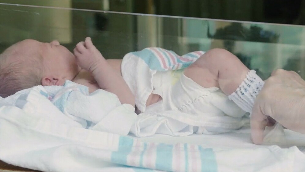 Demografski porast - 3