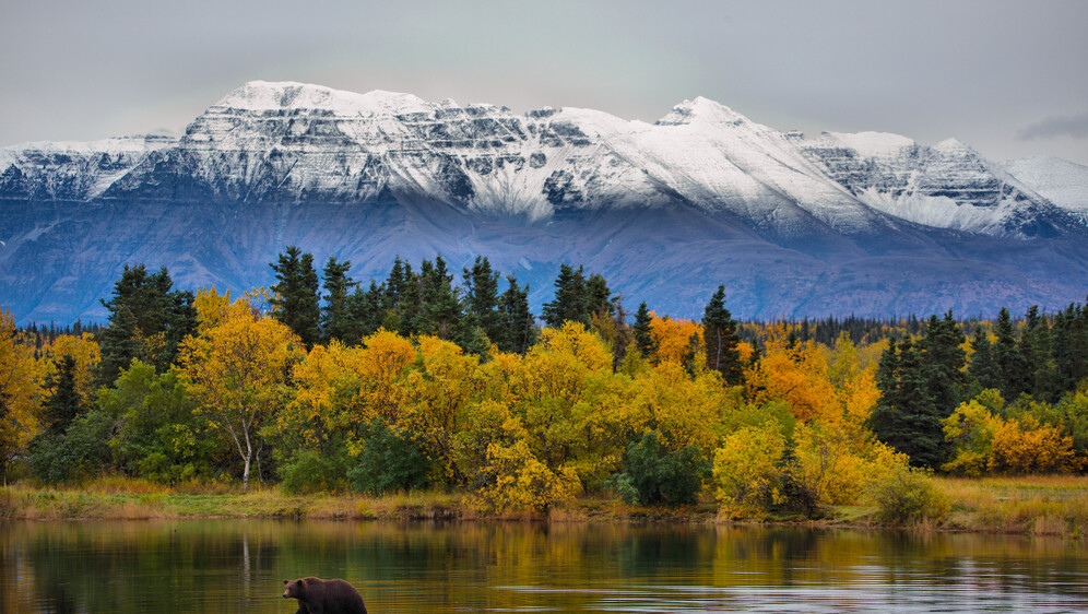 Kako se piše: Aljasci ili Aljaski