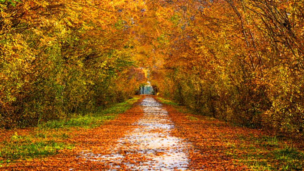 Sunčano vrijeme, ilustracija