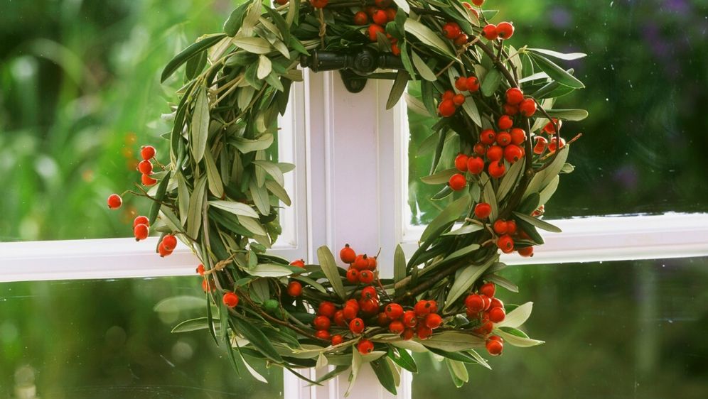 Šipak se itekako može koristiti kao ukras