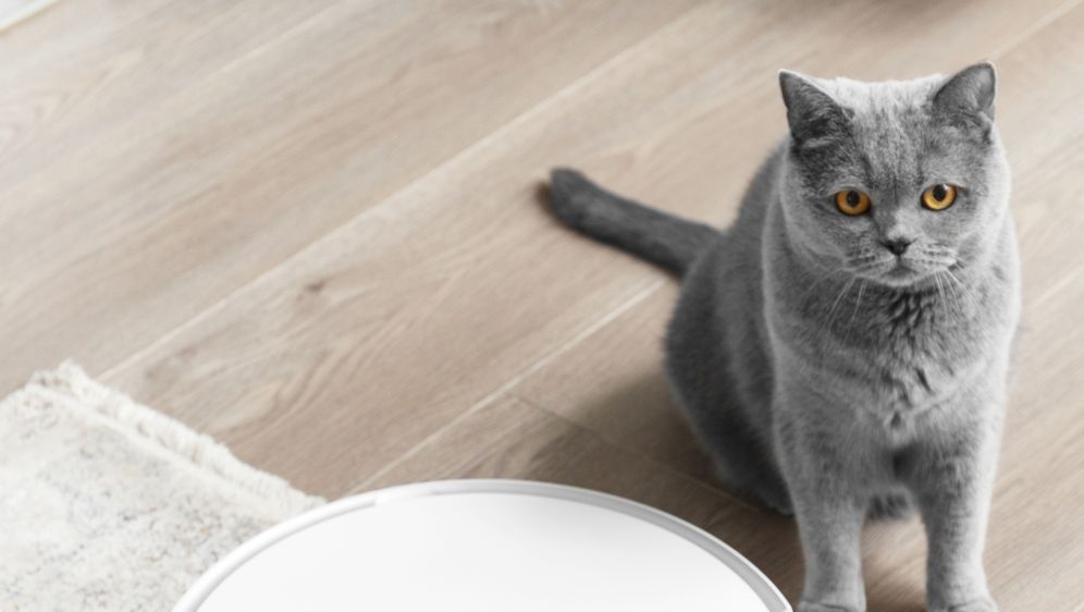 Zahvaljujući pametnim senzorima, mapiranju prostora i mogućnosti programiranja, robotski usisavači štede vrijeme i energiju