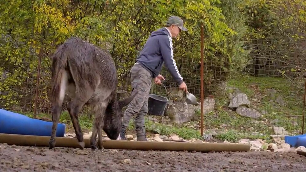 Novi problemi s vukovima - 1