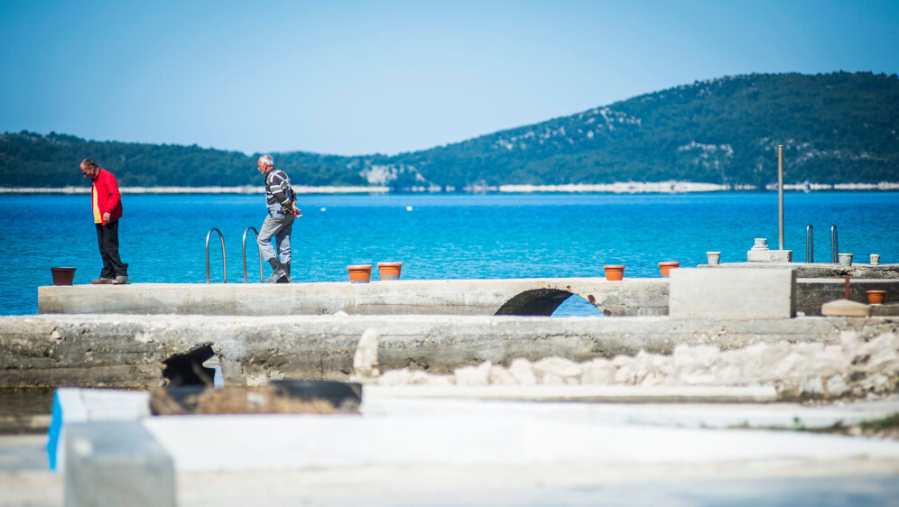 Žaborić, ilustracija