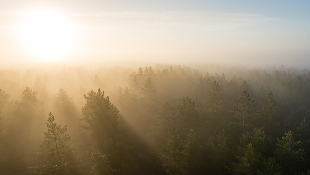 Vremenska prognoza; Ilustracija