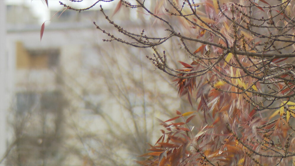 Vrijeme u Hrvatskoj; ilustracija - 4