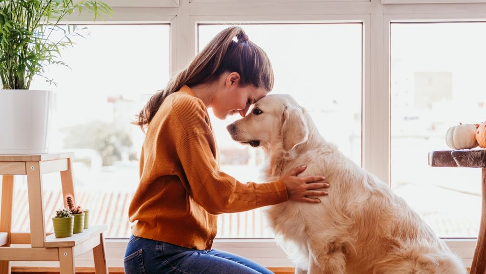 Psi i njihovi vlasnici često dijele određene osobine