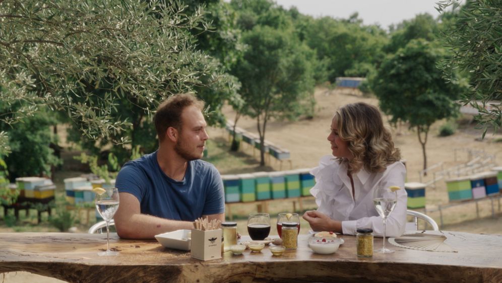 Filip Raponja, Plan Bee