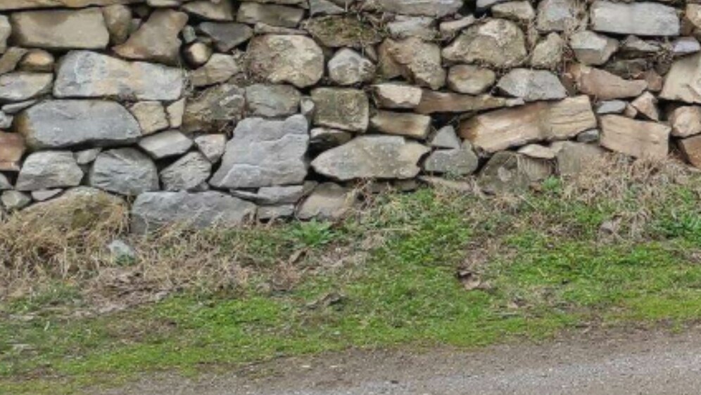 Neobičan način nadogradnje suhozida na selu