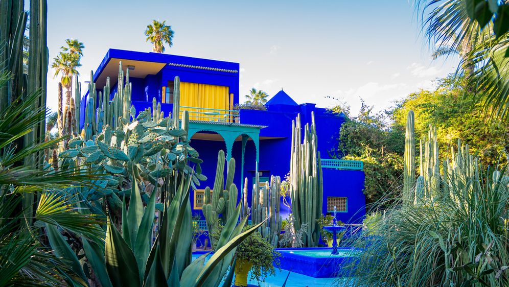 Botanički vrt Majorelle - 5