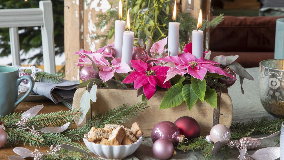 Adventski vijenac ukrašen božićnom zvijezdom