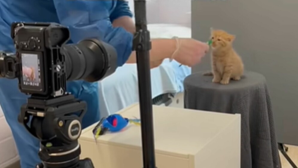 Mačić ma početku fotografiranja puta odrastanja