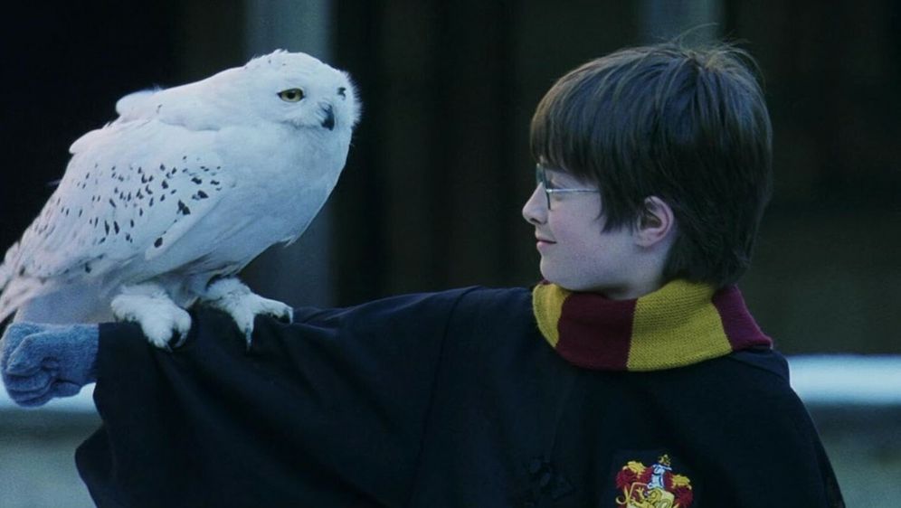 Harry Potter i Kamen mudraca