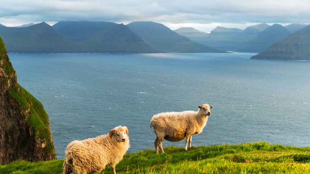 Kako se piše: Farski Otoci ili Farski otoci