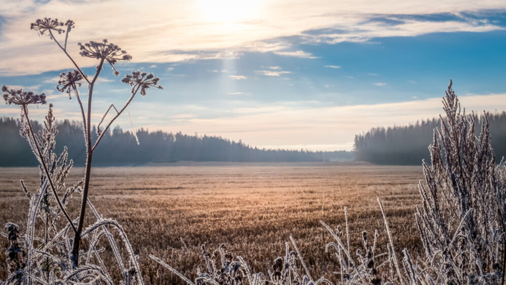 Vremenska prognoza; Ilustracija