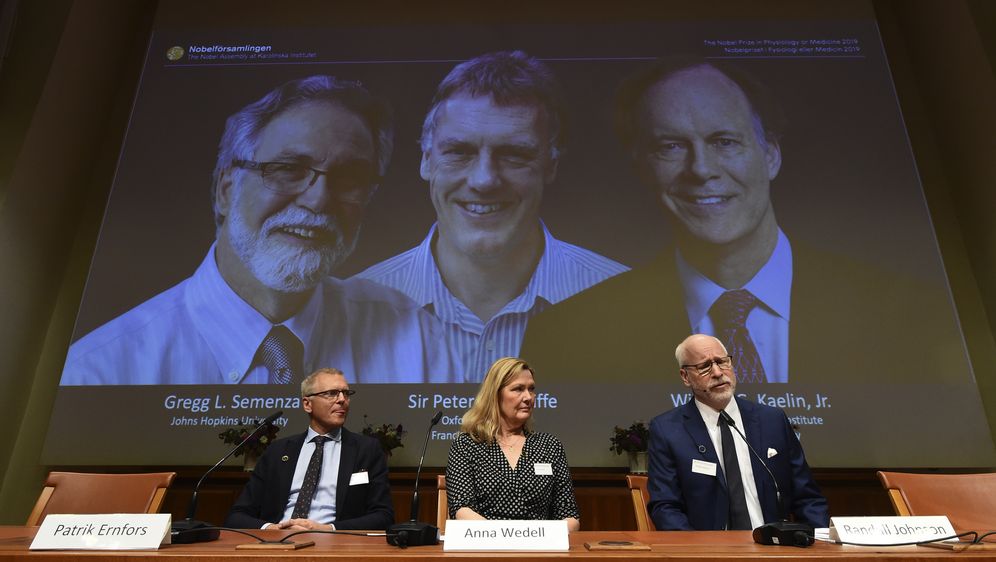 Dodijeljena Nobelova nagrada za medicinu (Foto: AFP)