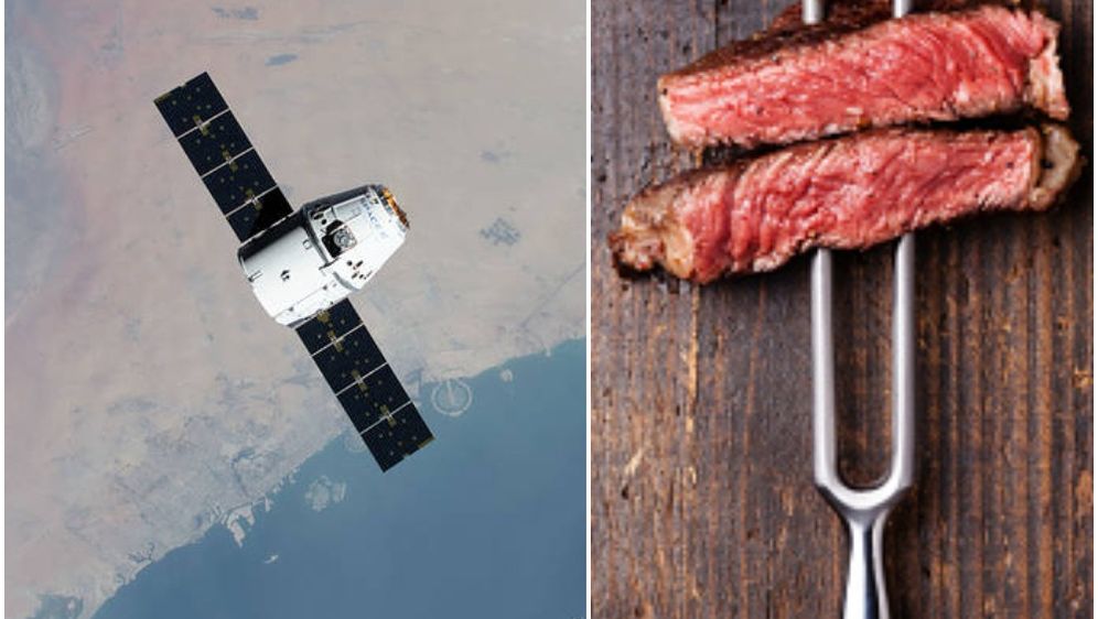 ISS, odrezak, ilustracija (Foto: ISS, GettyImages)