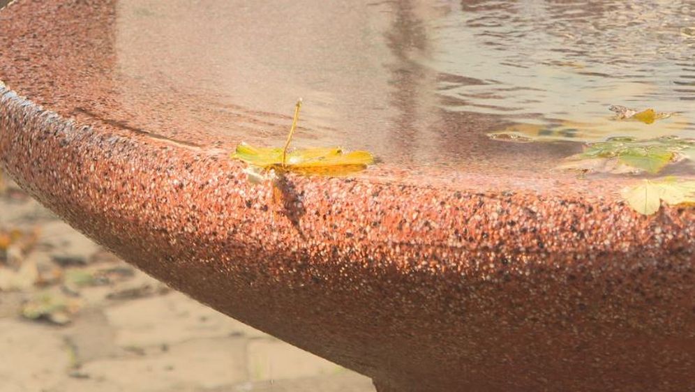 Lišće u fontani (Foto: Dnevnik.hr)