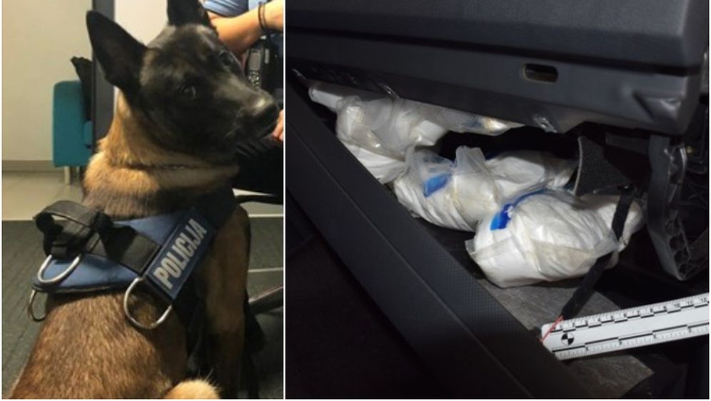 Policijski pas As pronašao 9 kilograma amfetamina u autu (Foto: PUZ)