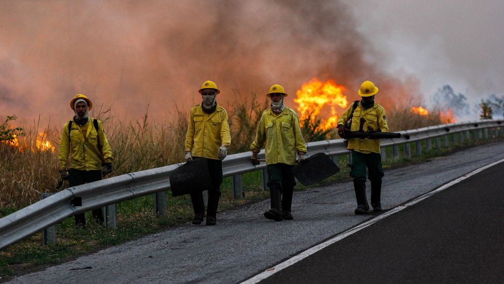 Požari bjesne u Pantanalu (Foto: AFP)