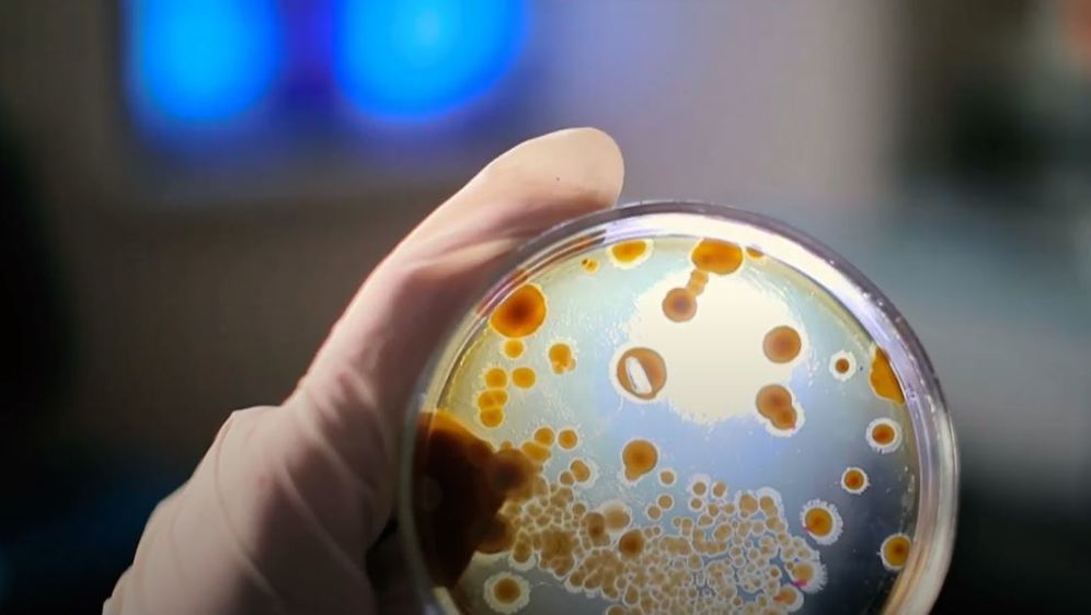 Veliko otkriće na Ruđeru - 1