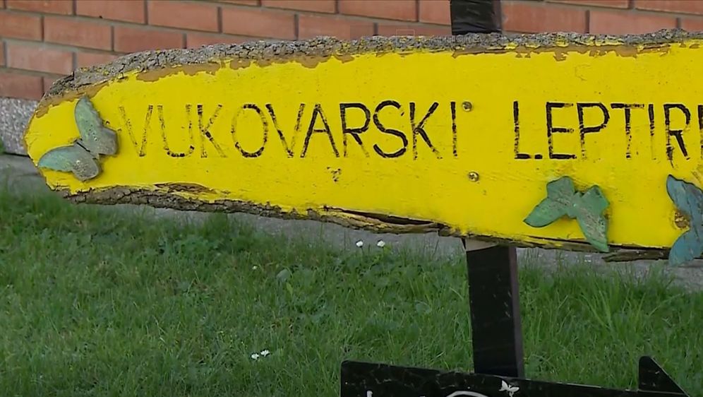 Vukovarski Leptirići