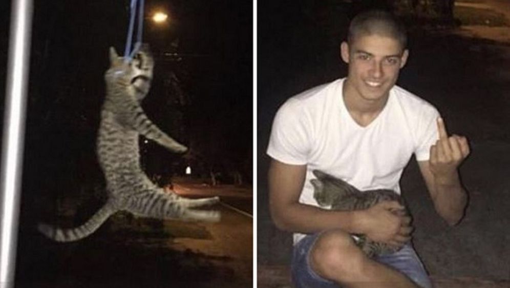 Prijete mu smrću: Student iz Srbije objavio fotografije zbog kojih se mislilo da muči životinje, a zapravo je spasio mačku