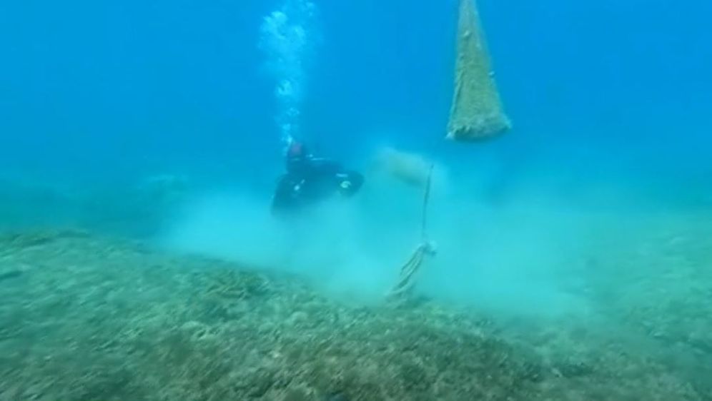 Pronađena živa periska - 2