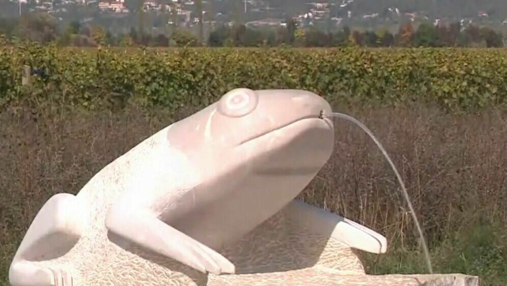 Spomenik žabi - 4
