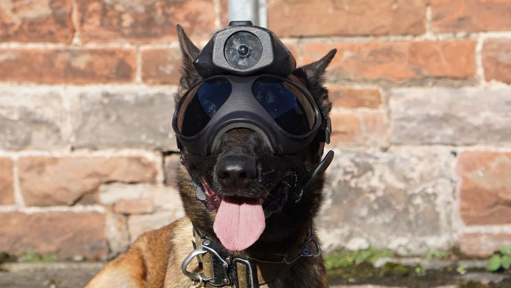 Policijski pas opremljen kamerom i kacigom