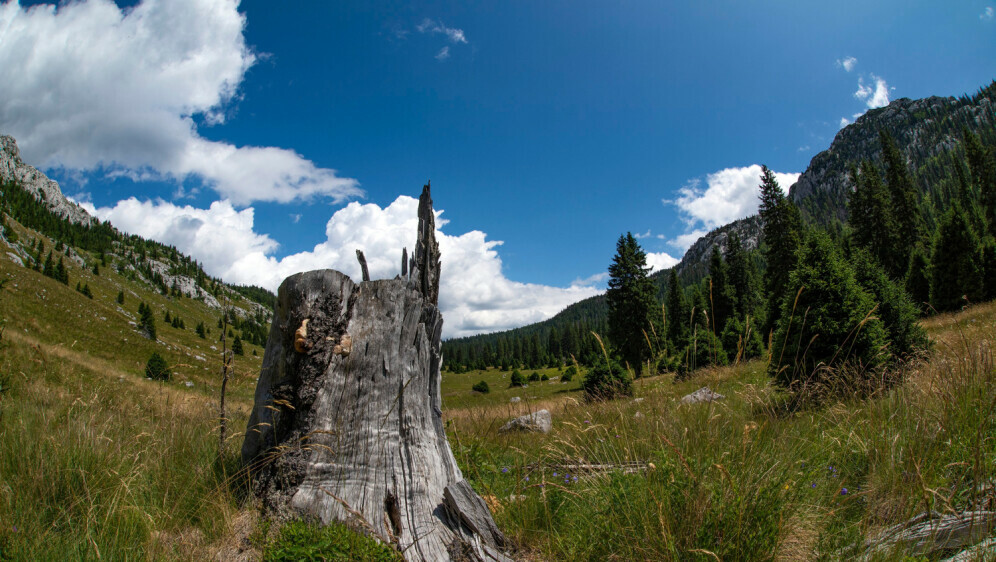 Nacionalni park Sjeverni Velebit