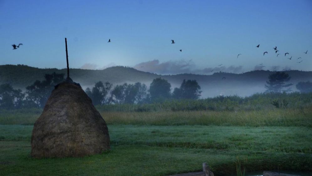 Vineyard Eco Cottage Gruda - 31