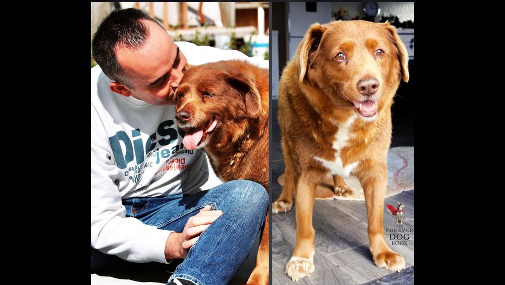 najstariji pas na svijetu Bobi i njegov vlasnik Leonel Costa
