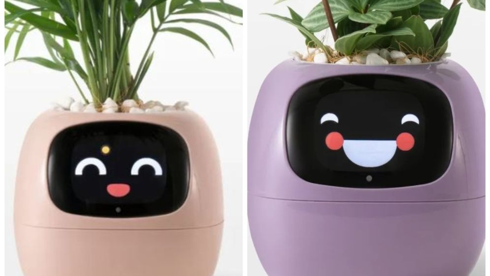 Plantagotchi posude veliki su hit