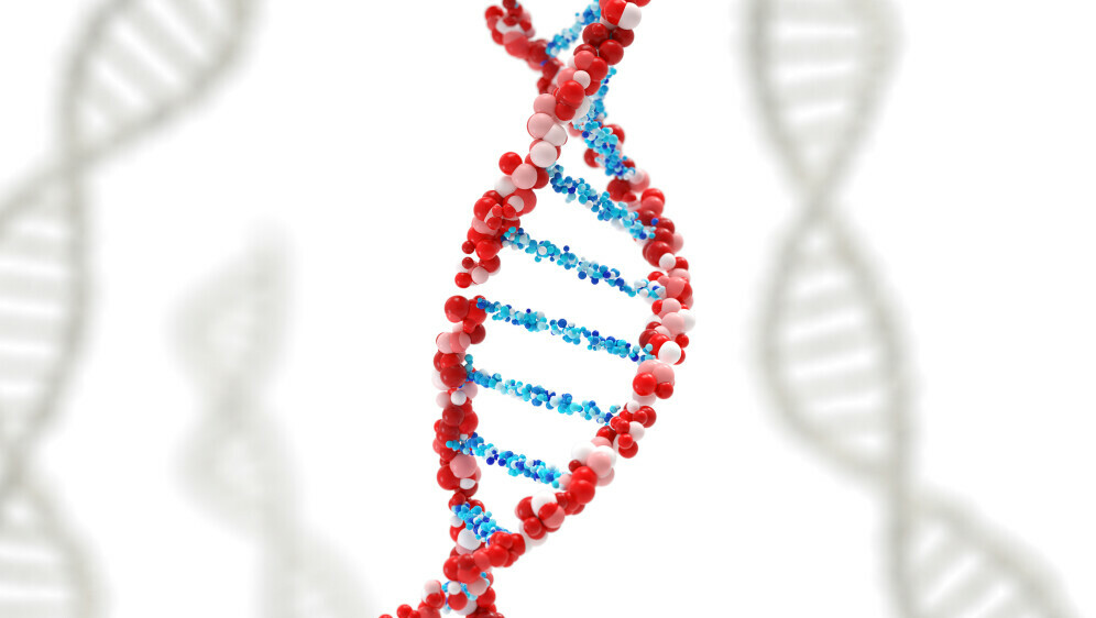 Kako se piše: DNA ili DNK