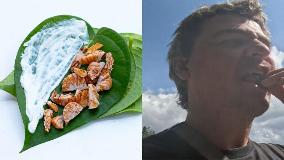 Nolan Saumure kako konzumira betel orah