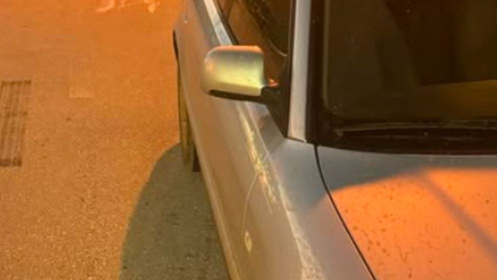 Tele koje viri iz automobila u Cisti Provo